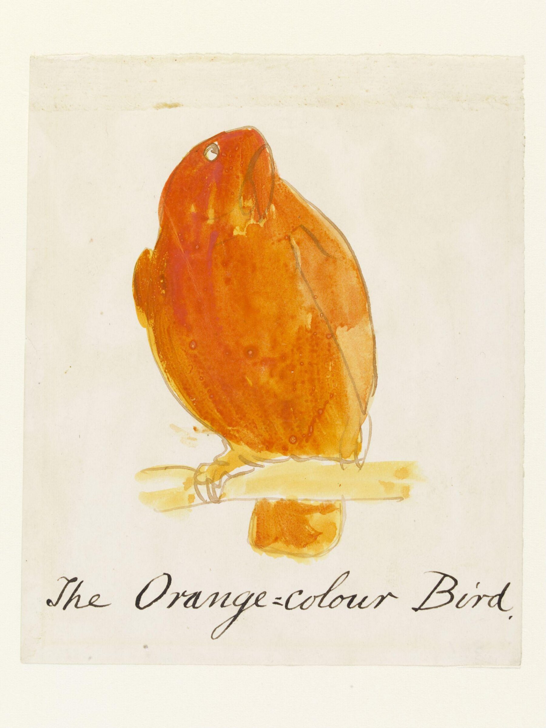 Drawing, Edward Lear, c.1880