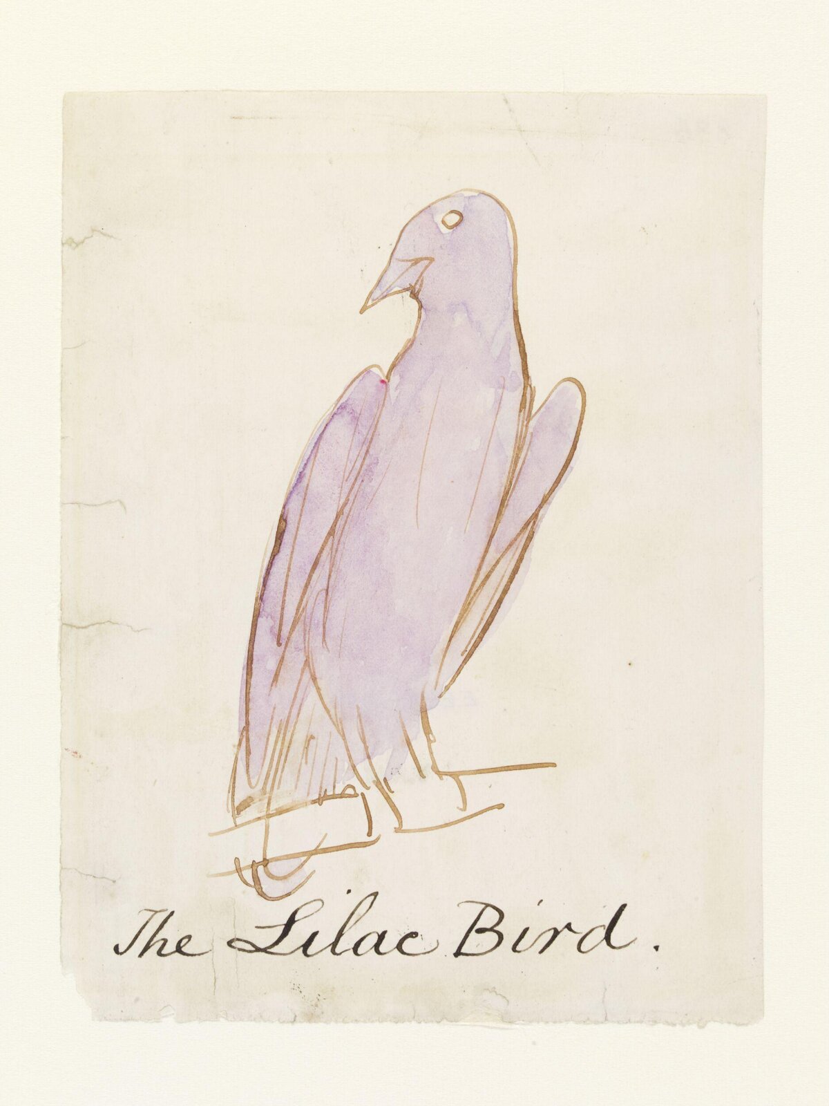 Drawing, Edward Lear, c.1880