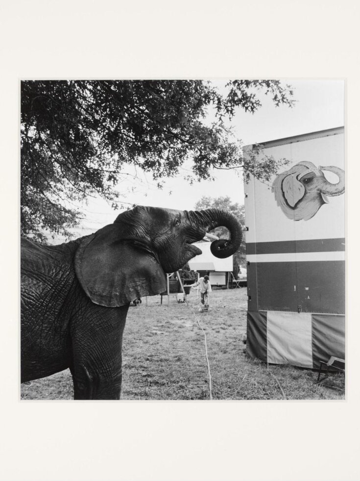 Orange County Fair, Middletown, N.Y. Old, Toby V&A Explore The