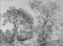 Trees in West End Fields, Hampstead thumbnail 1