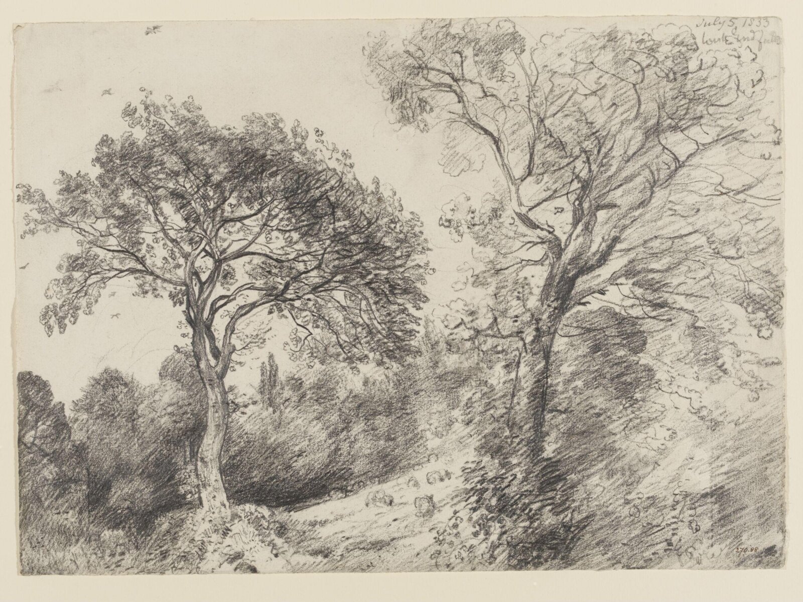 Trees in West End Fields, Hampstead, John Constable, 5 July 1833
