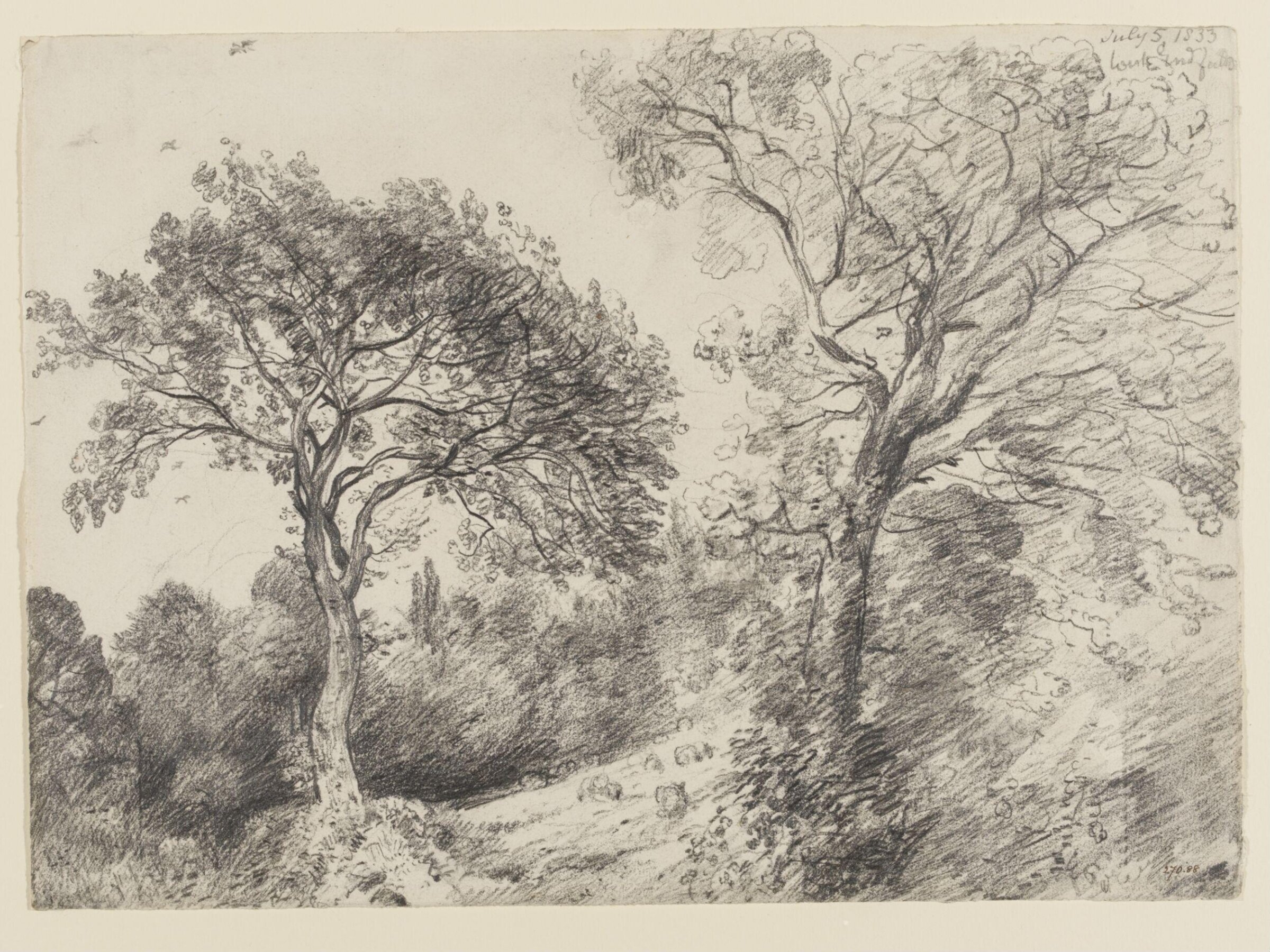 Trees in West End Fields, Hampstead, John Constable, 5 July 1833