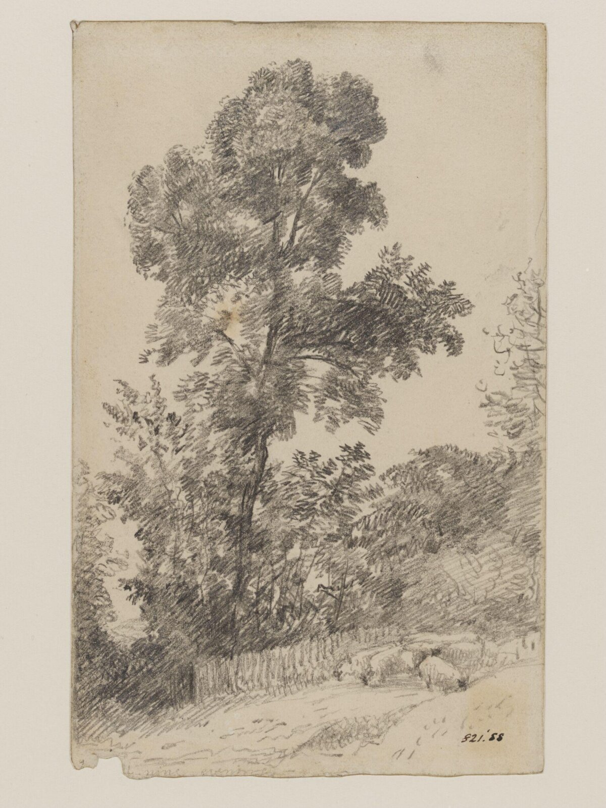 Trees at Hampstead, Constable, ca. 1820
