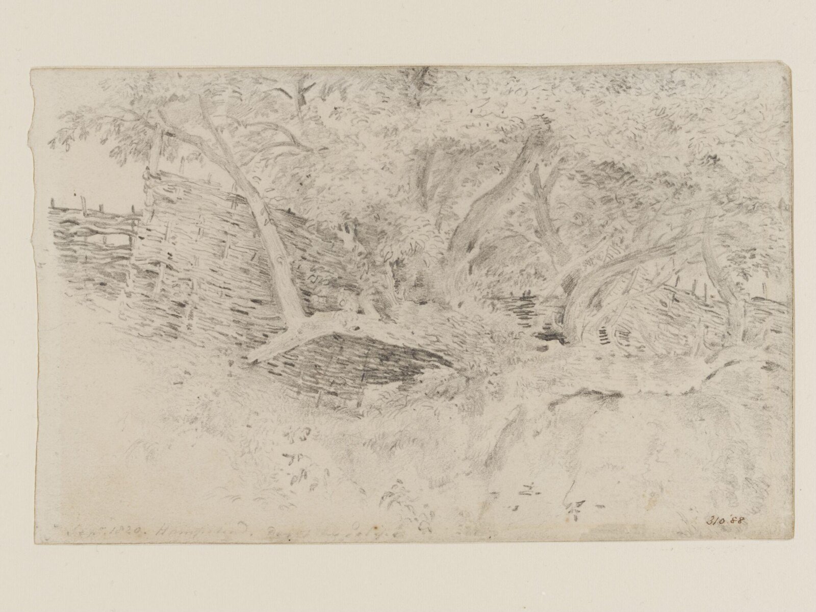 Trees and wattle hurdles at Hampstead, Constable, 1820, September 7