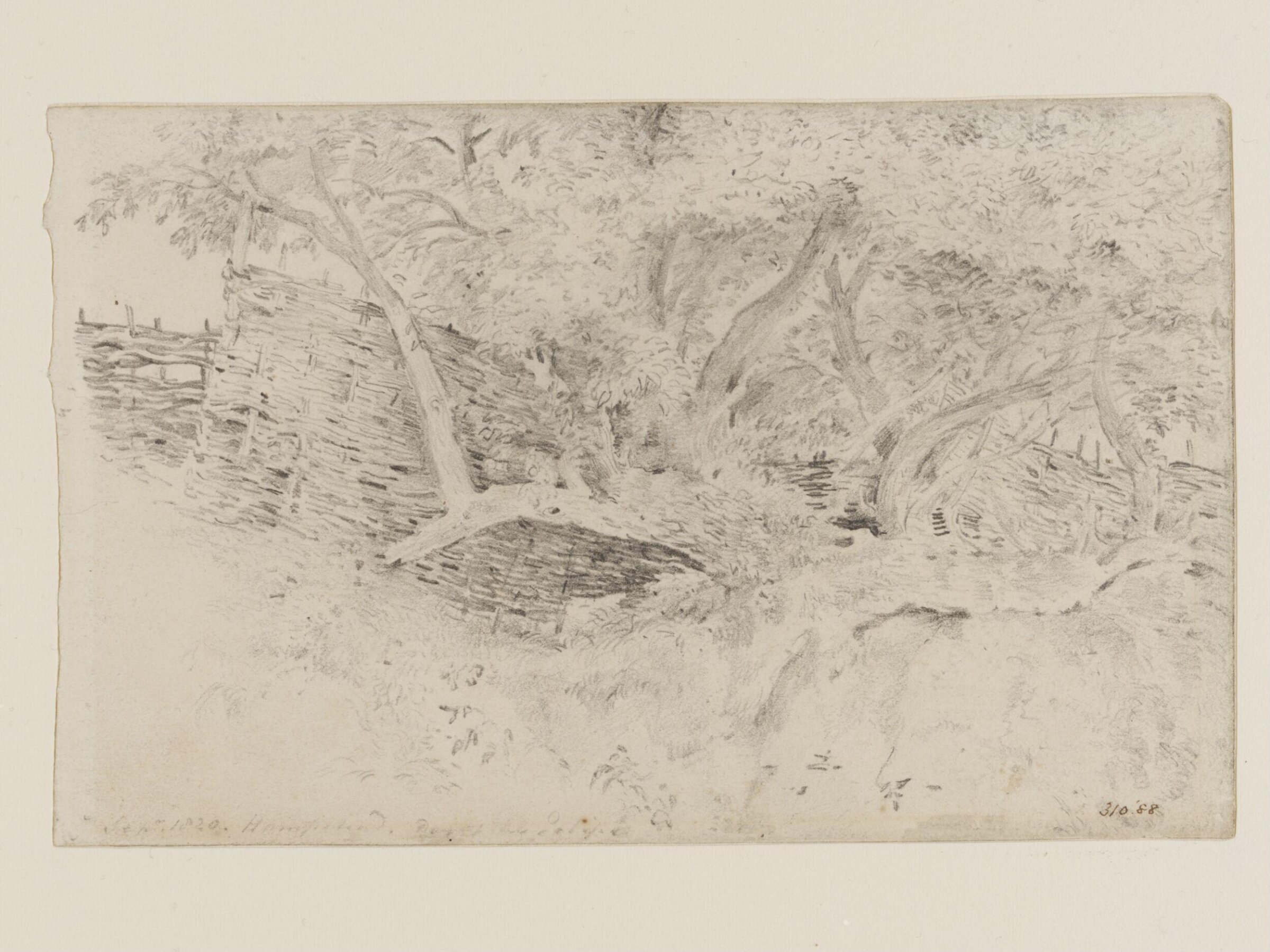 Trees and wattle hurdles at Hampstead, Constable, 1820, September 7