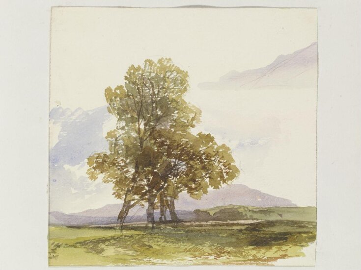 Watercolour in album of 51 drawings and watercolours by James Duffield Harding  top image