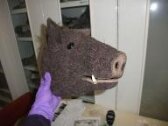 Boar puppet thumbnail 2