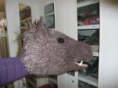 Boar puppet thumbnail 2