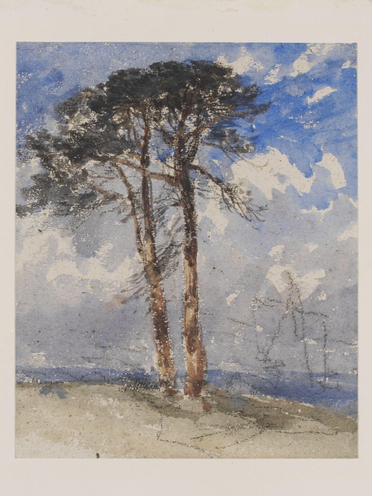 Scotch Firs, David Cox, c. 1810-1840
