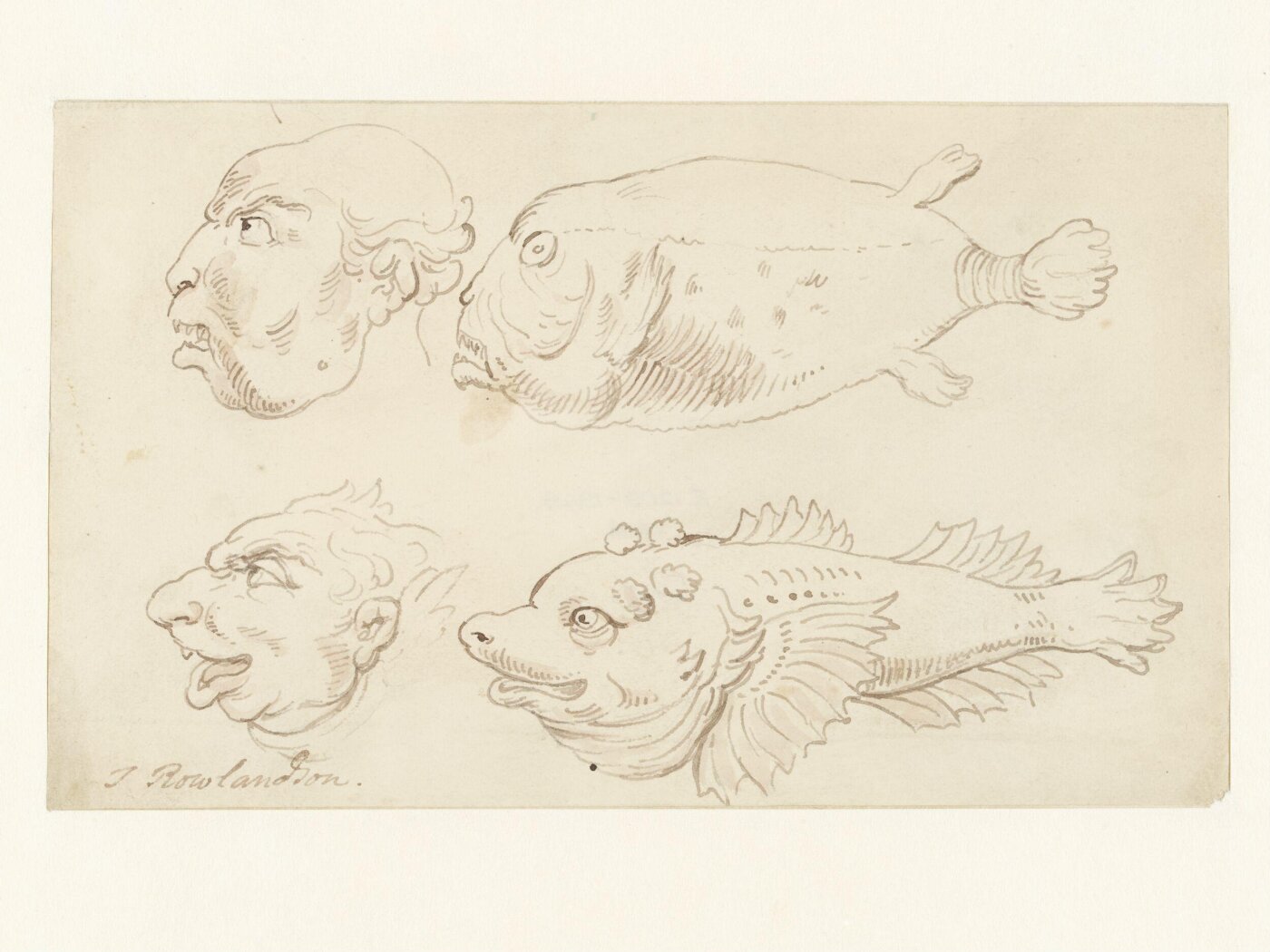 Thomas Rowlandson, Caricature sketches of the heads of two men with fish drawn to resemble them