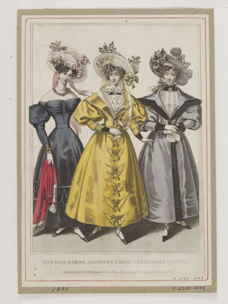 Fashion Plate top image