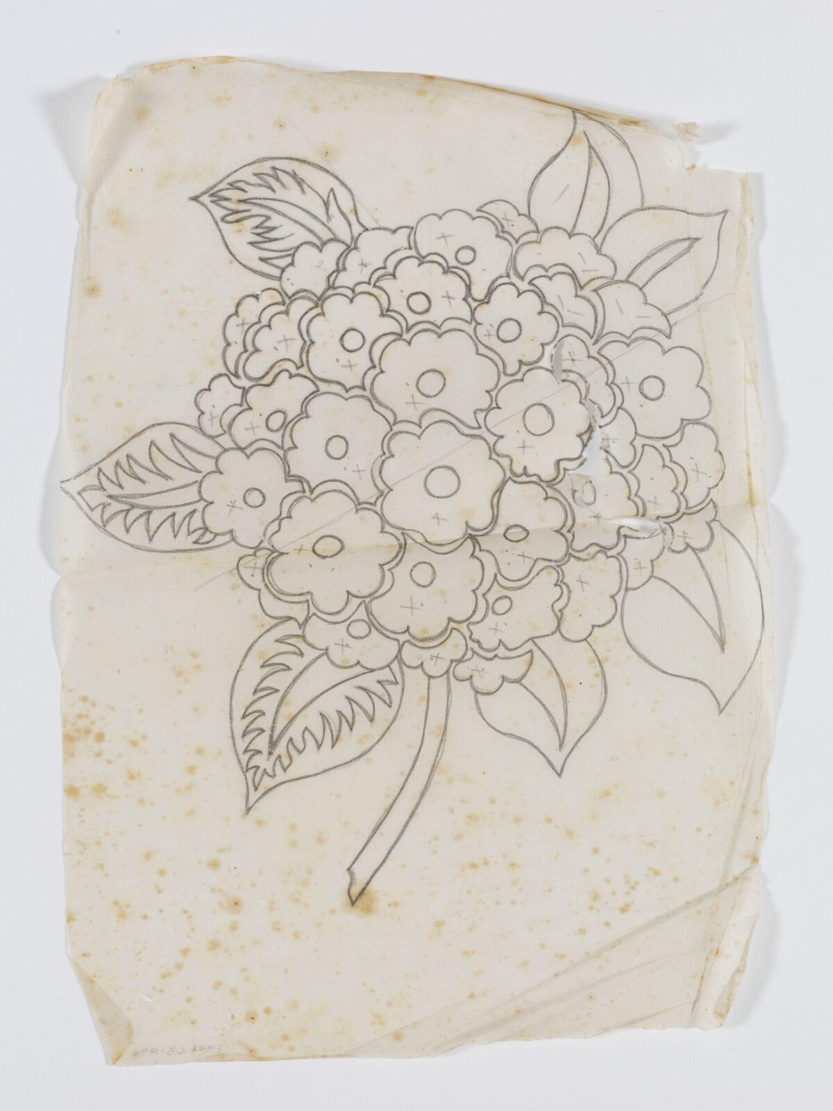 Drawing