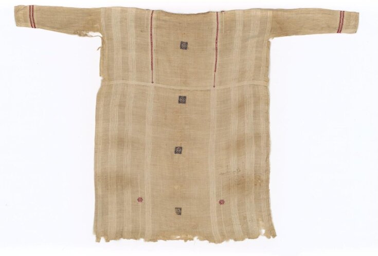 Tunic top image