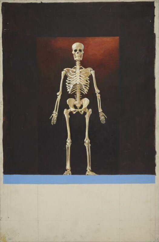 skeleton