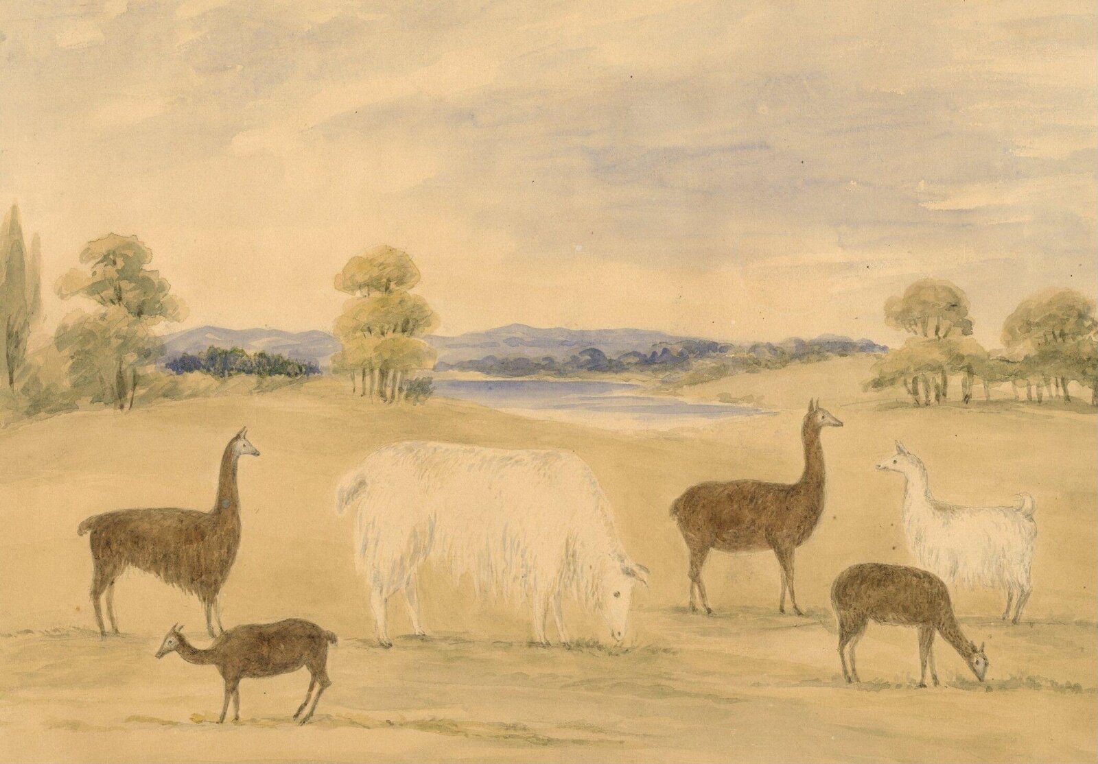 Drawing, ca. 1870