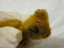 Teddy Bear thumbnail 1