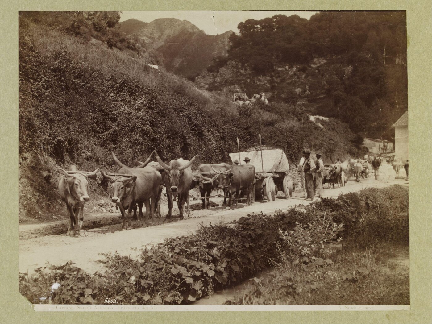 Unknown, Photograph