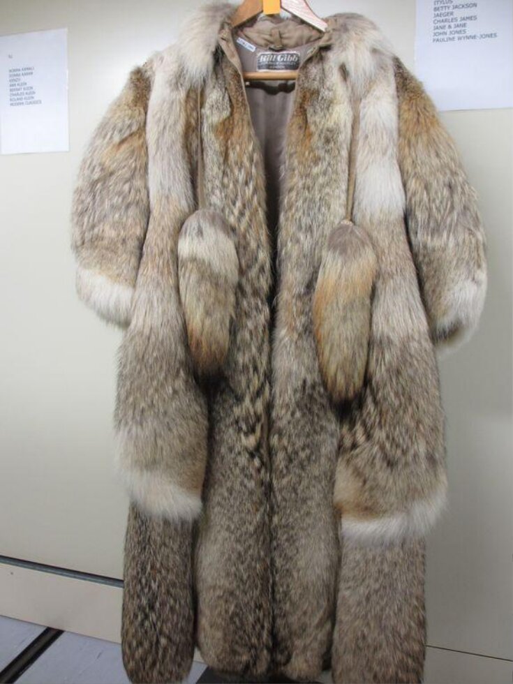 Fur Coat top image