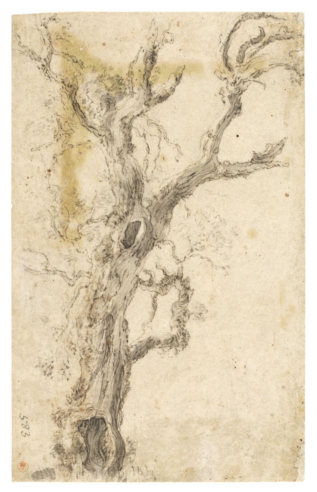 Sketch of a Tree, mid to late 17th century