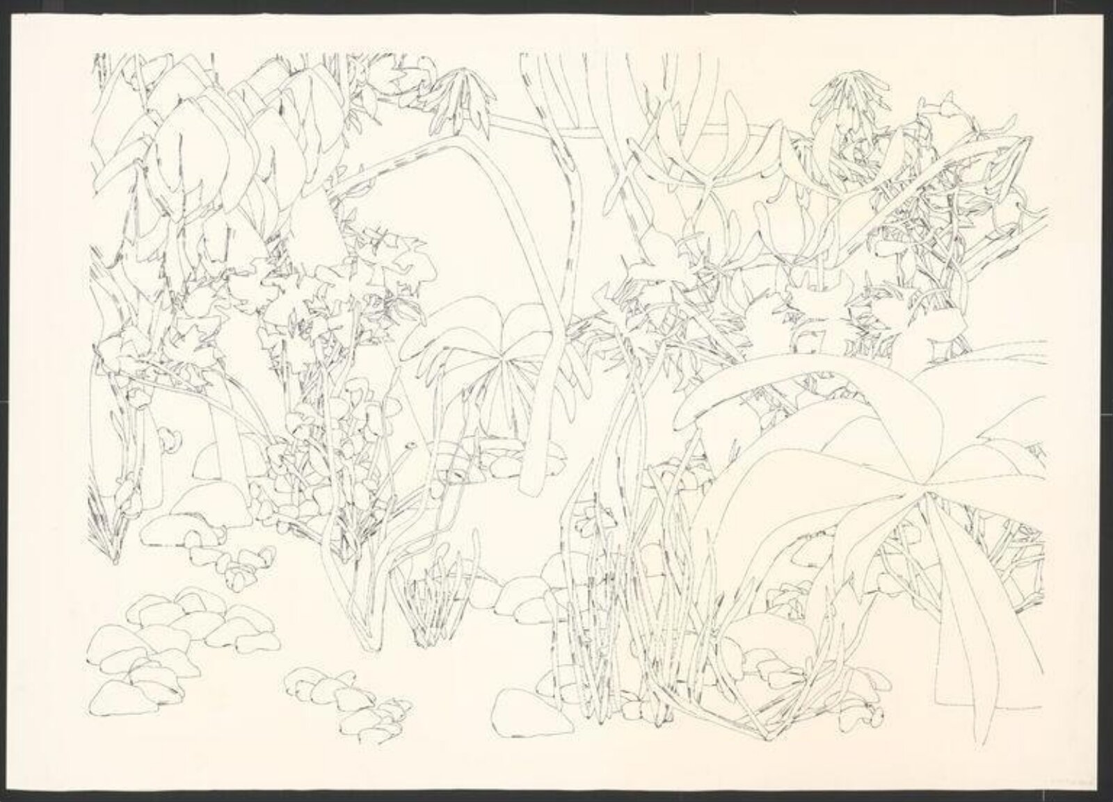 Drawing, Harold Cohen, 1989
