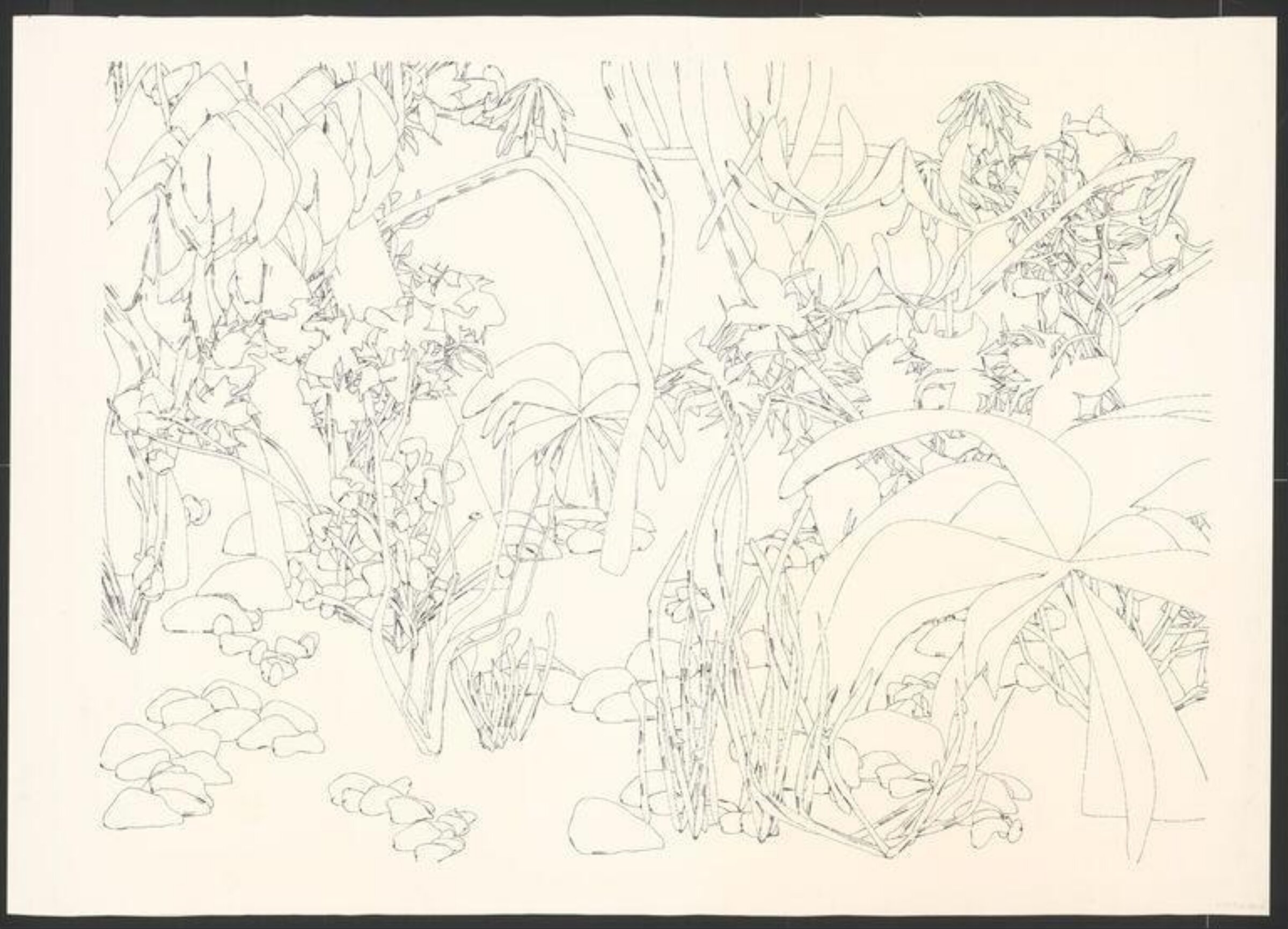 Drawing, Harold Cohen, 1989