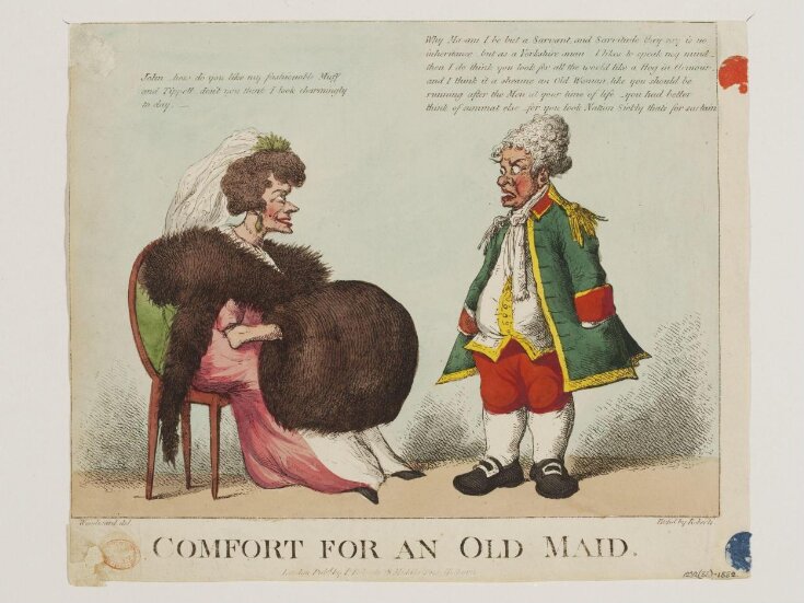 Comfort for an Old Maid top image