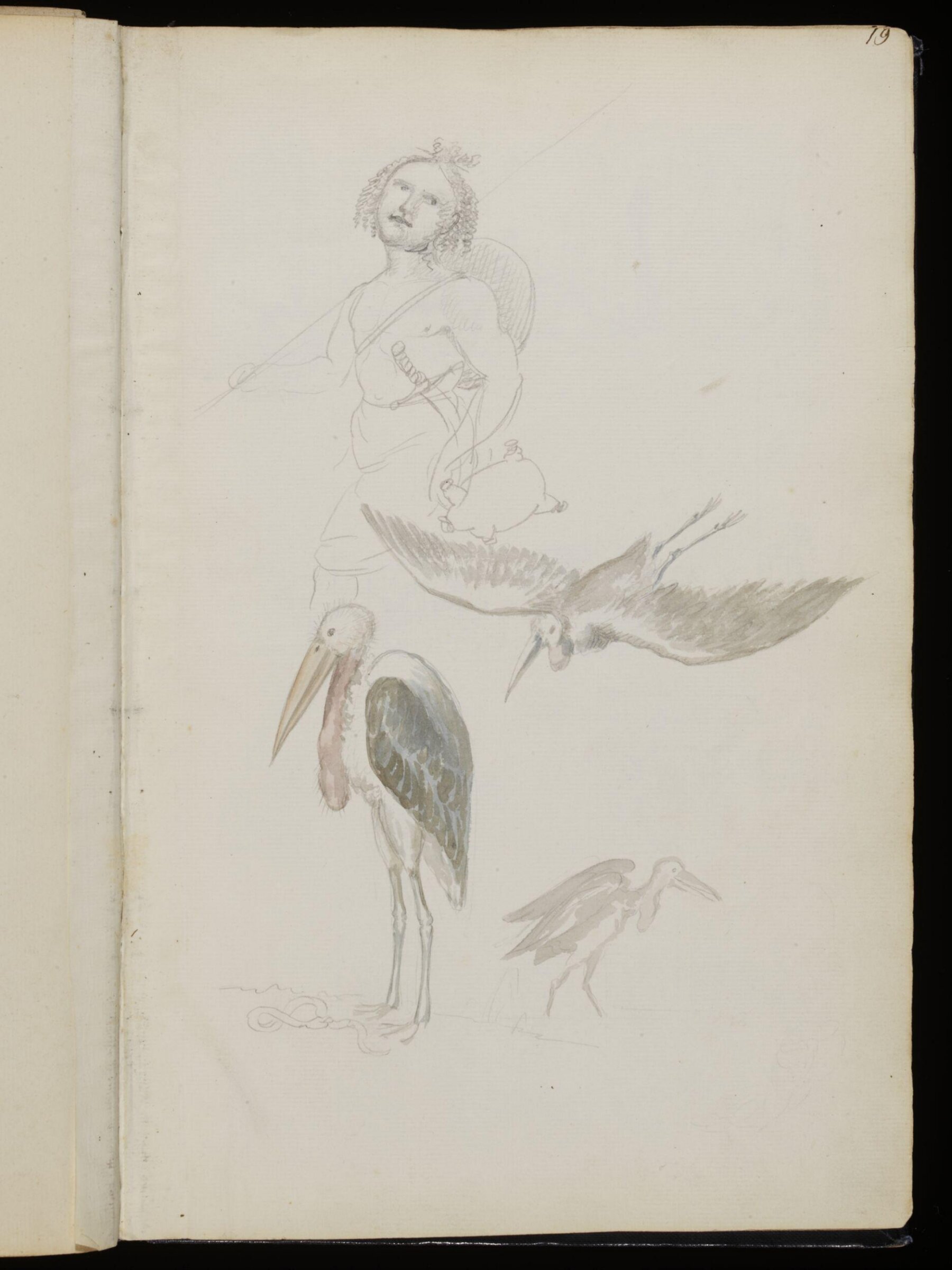 Sketches collected during leisure hours passed in Jamaica, containing specimens copied from the best authors and from nature, Charles Hamilton Smith, 1797-1807