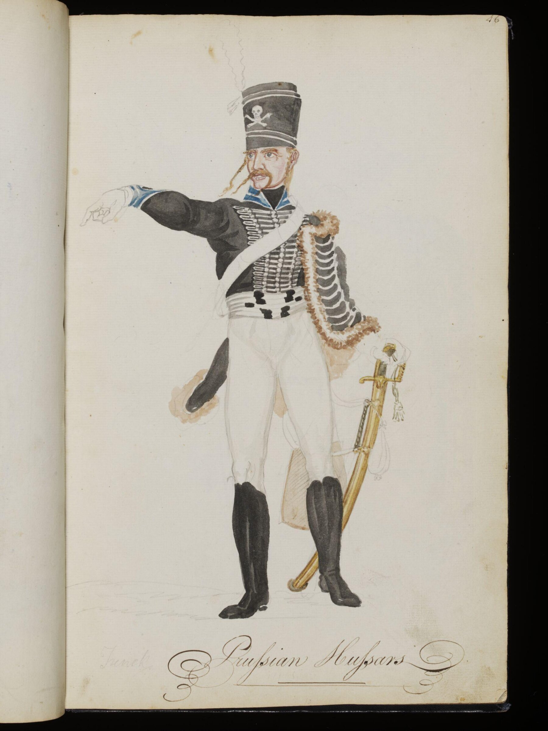 Sketches collected during leisure hours passed in Jamaica, containing specimens copied from the best authors and from nature, Charles Hamilton Smith, 1797-1807