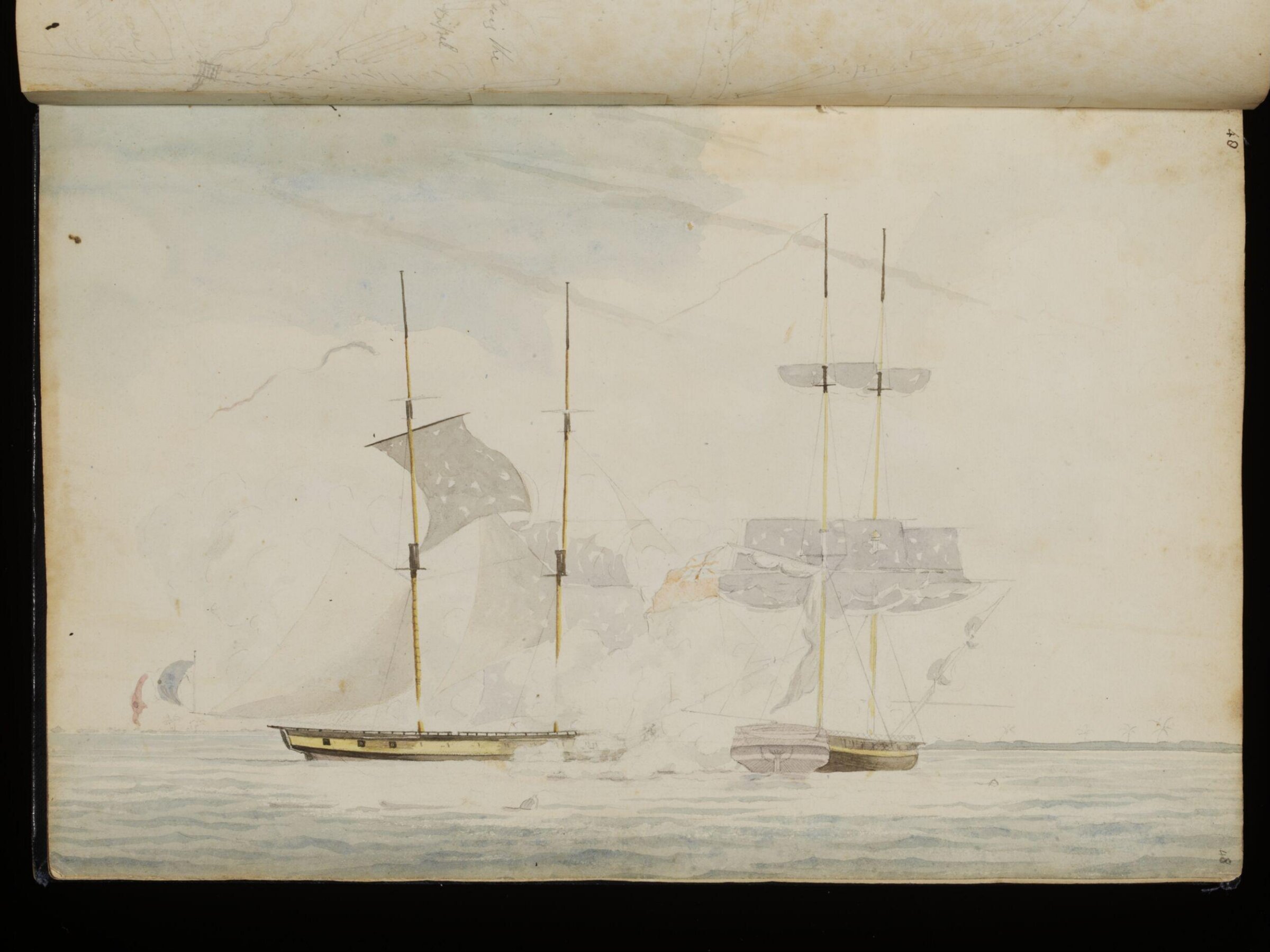 Sketches collected during leisure hours passed in Jamaica, containing specimens copied from the best authors and from nature, Charles Hamilton Smith, 1797-1807