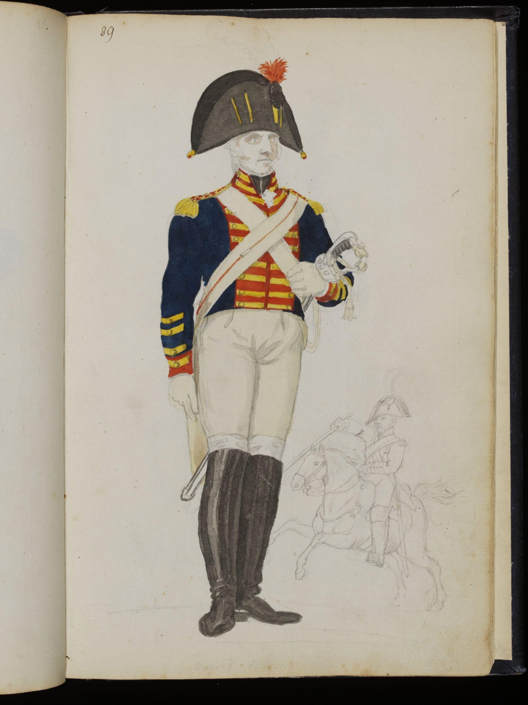 Sketches collected during leisure hours passed in Jamaica, containing specimens copied from the best authors and from nature, Charles Hamilton Smith, 1797-1807