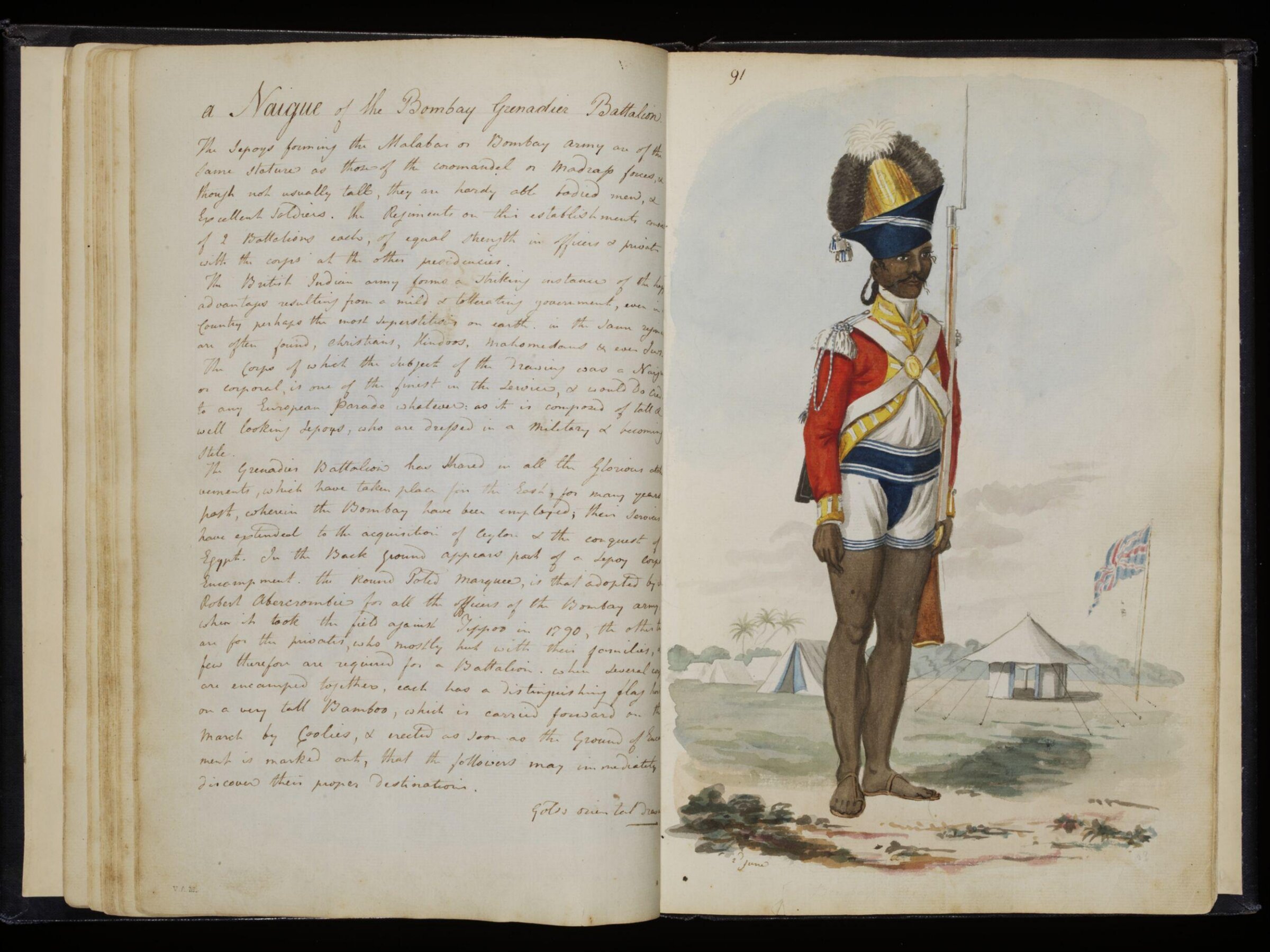 Sketches collected during leisure hours passed in Jamaica, containing specimens copied from the best authors and from nature, Charles Hamilton Smith, 1797-1807
