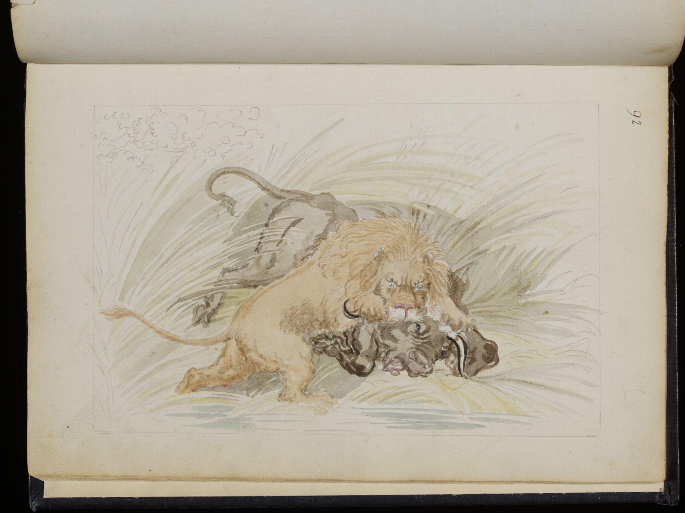 Sketches collected during leisure hours passed in Jamaica, containing specimens copied from the best authors and from nature, Charles Hamilton Smith, 1797-1807