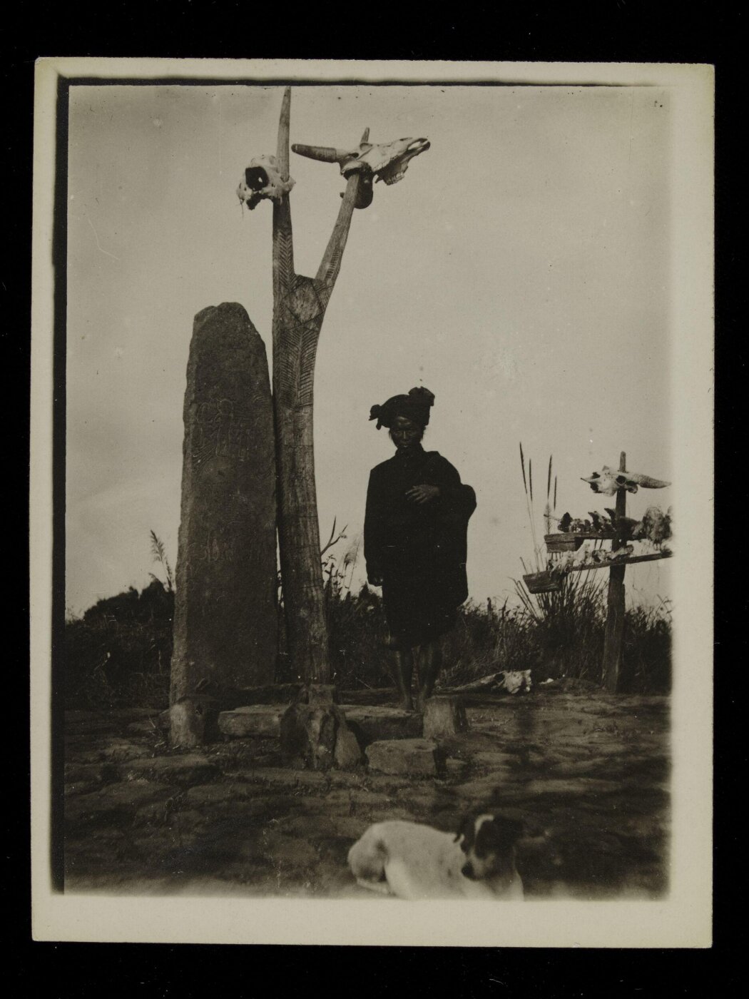 Unknown, Photograph