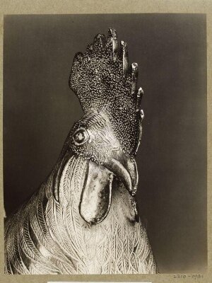Rooster.  Benin.