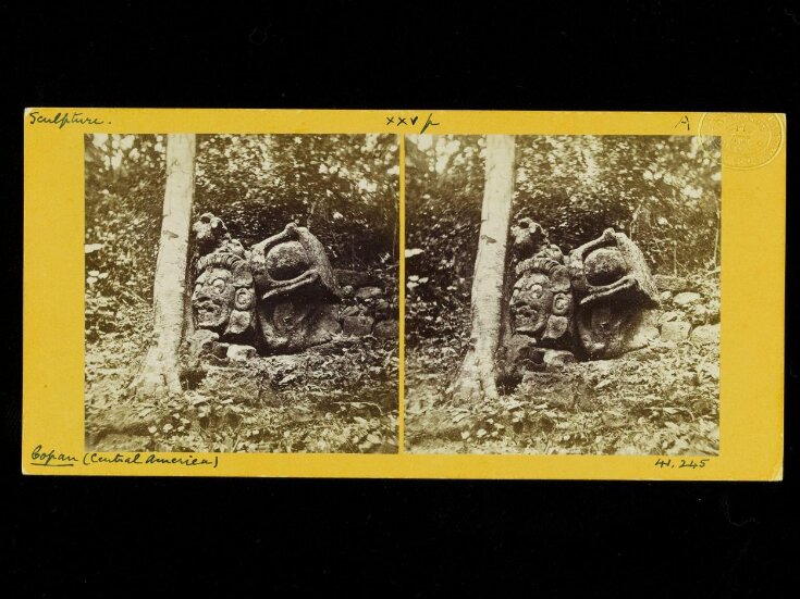 Head with other sculptured stones  top image