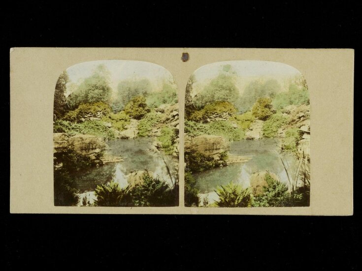 View of the Rock Pond, below the Stride, Chatsworth Pleasure Grounds top image