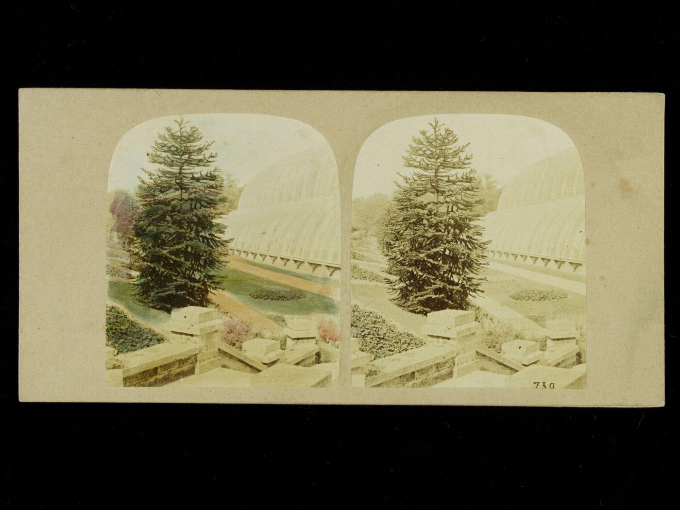 Unknown, Glass Court at the 1862 Great Exhibition