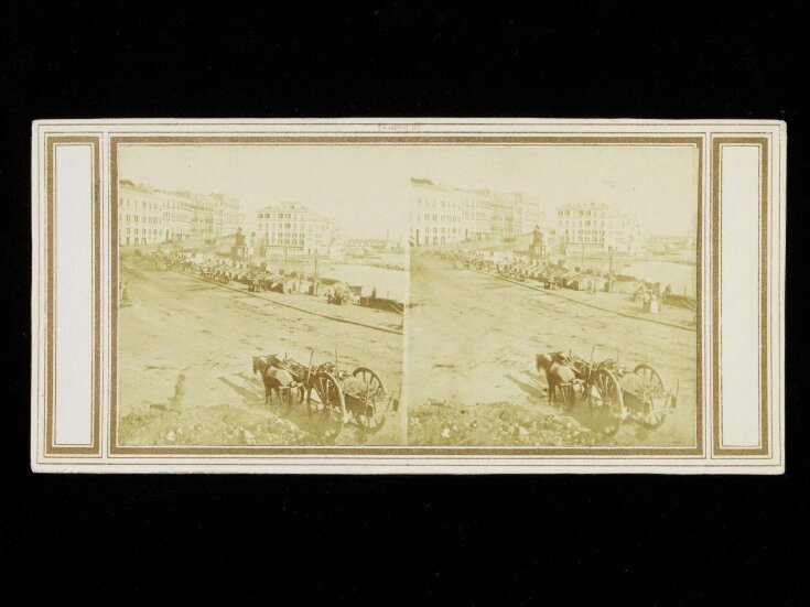 Santa Lucia, Naples, with donkeys on the beach top image