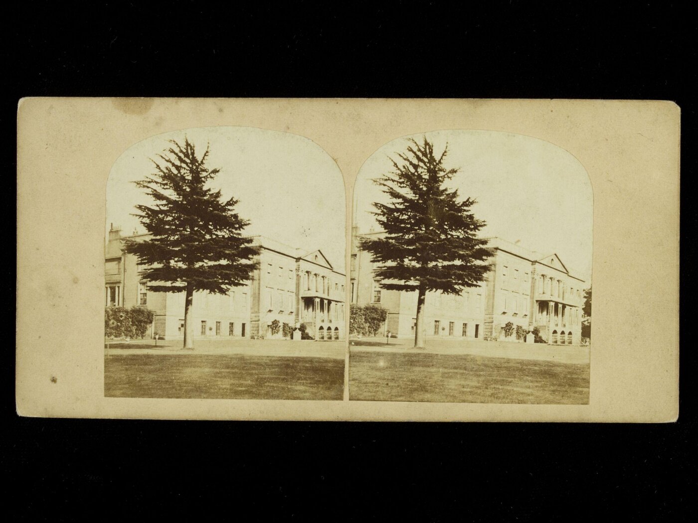 Unknown, Stereoscopic view of a country house with fir tree