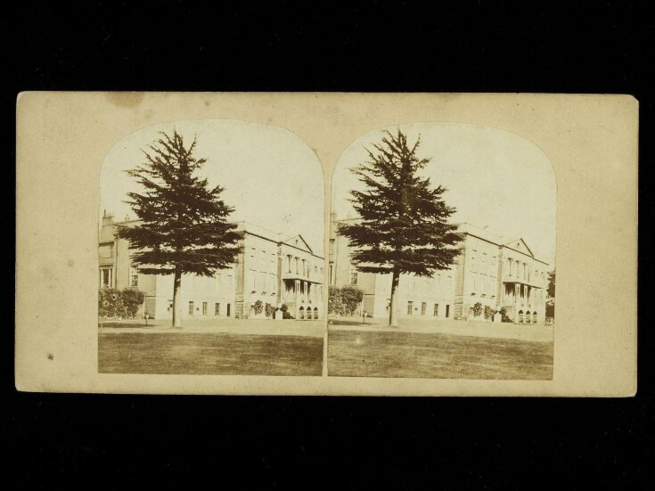 Stereoscopic view of a country house with fir tree top image