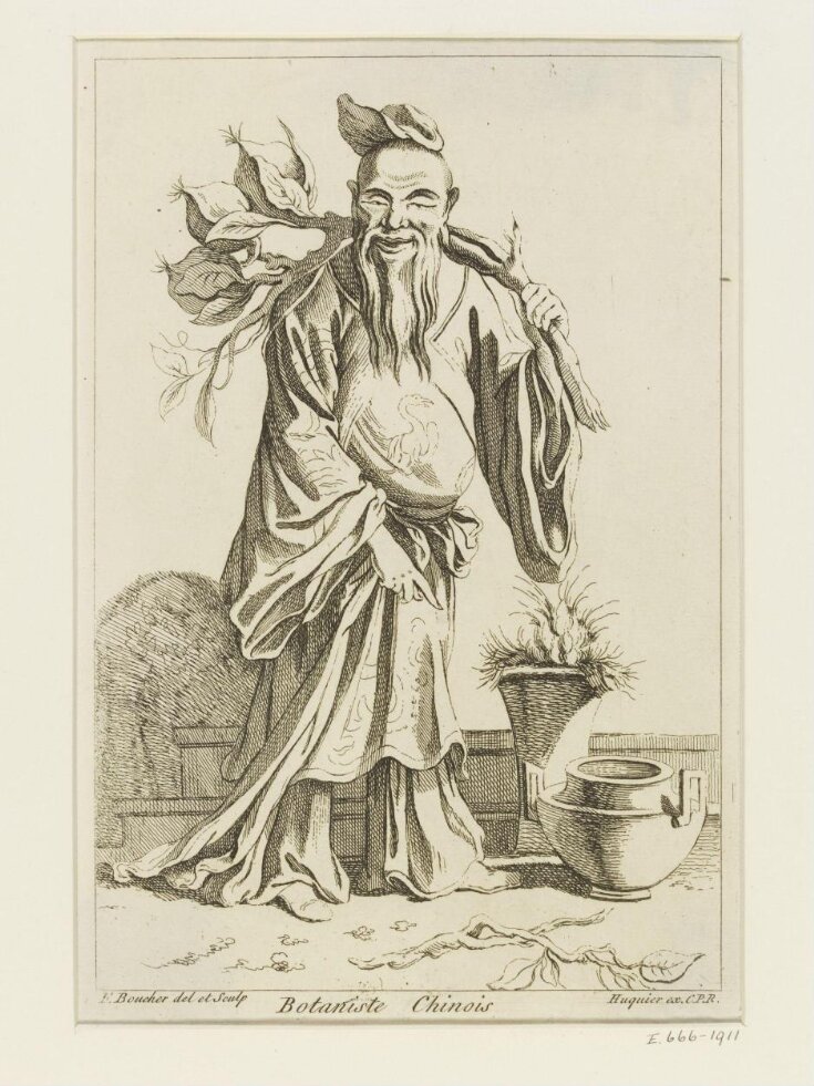 Botaniste Chinois. top image