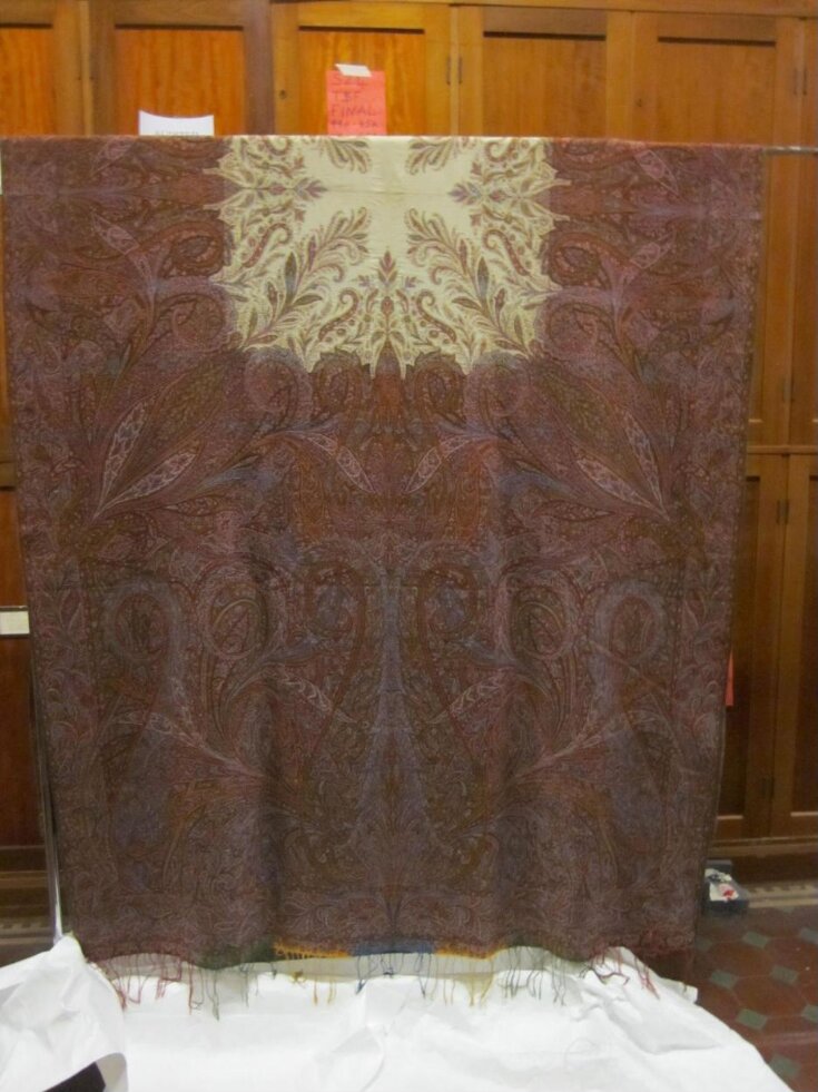 Shawl top image