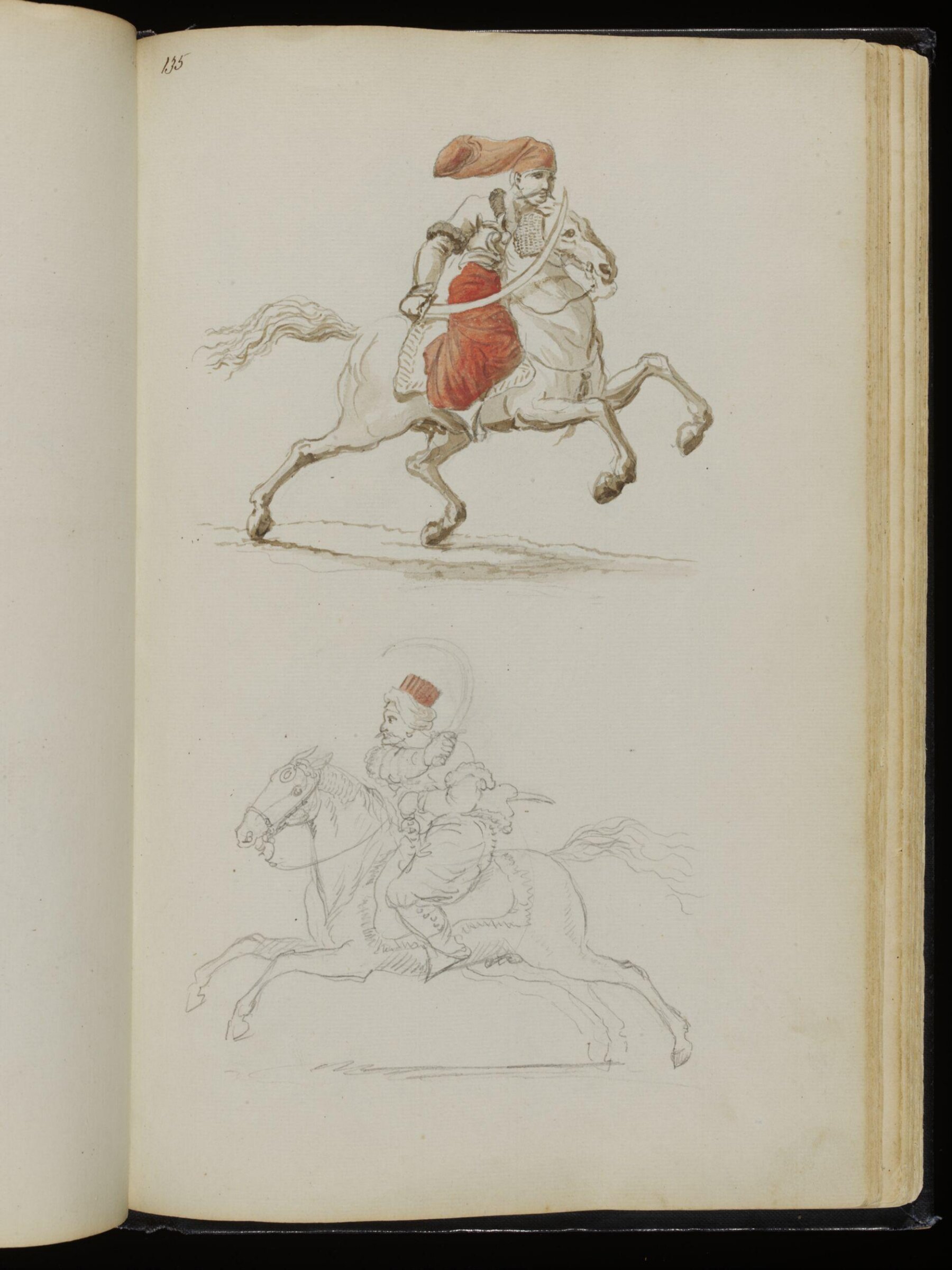 Sketches collected during leisure hours passed in Jamaica, containing specimens copied from the best authors and from nature, Charles Hamilton Smith, 1797-1807