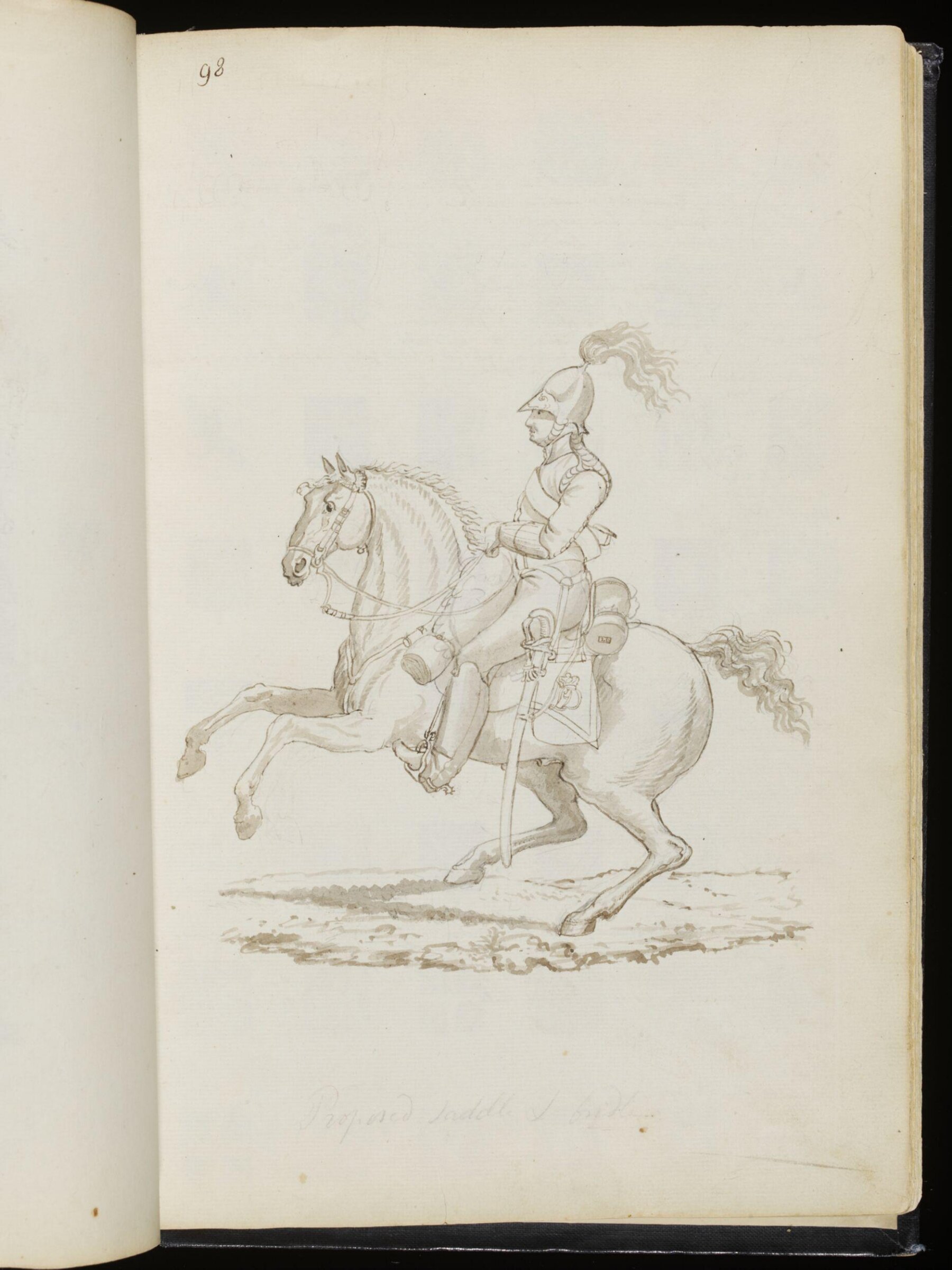 Sketches collected during leisure hours passed in Jamaica, containing specimens copied from the best authors and from nature, Charles Hamilton Smith, 1797-1807