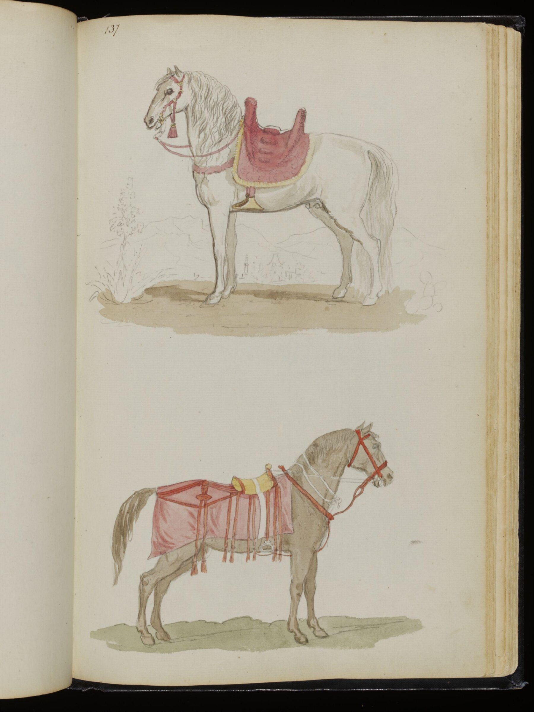 Sketches collected during leisure hours passed in Jamaica, containing specimens copied from the best authors and from nature, Charles Hamilton Smith, 1797-1807