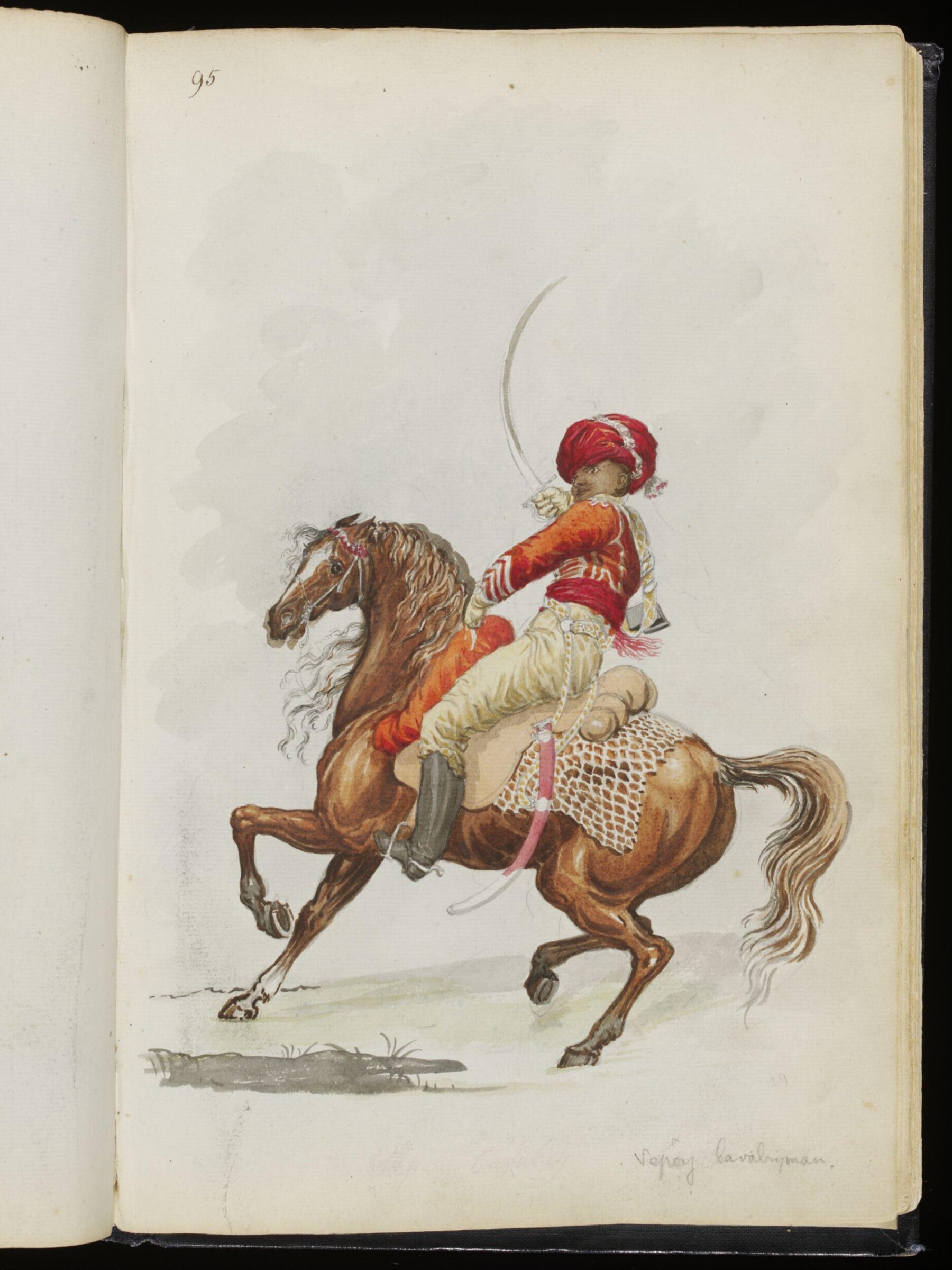 Sketches collected during leisure hours passed in Jamaica, containing specimens copied from the best authors and from nature, Charles Hamilton Smith, 1797-1807