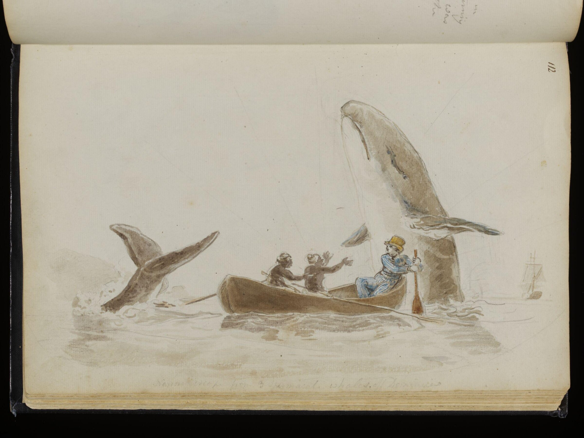 Sketches collected during leisure hours passed in Jamaica, containing specimens copied from the best authors and from nature, Charles Hamilton Smith, 1797-1807