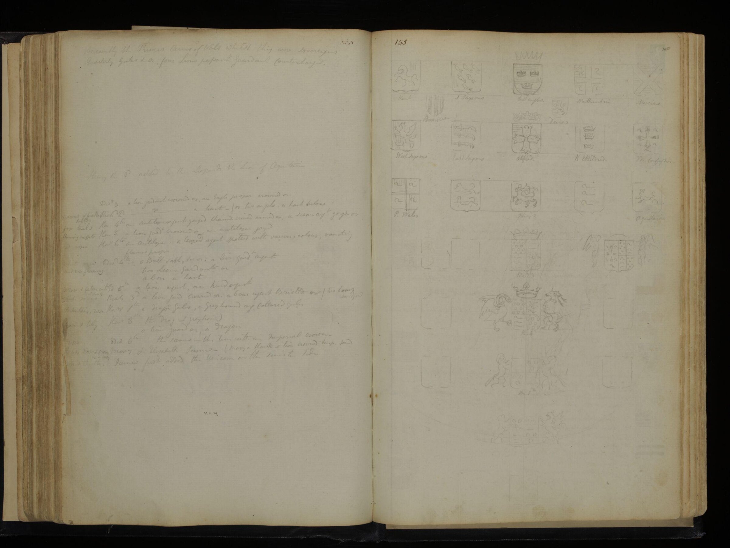 Sketches collected during leisure hours passed in Jamaica, containing specimens copied from the best authors and from nature, Charles Hamilton Smith, 1797-1807