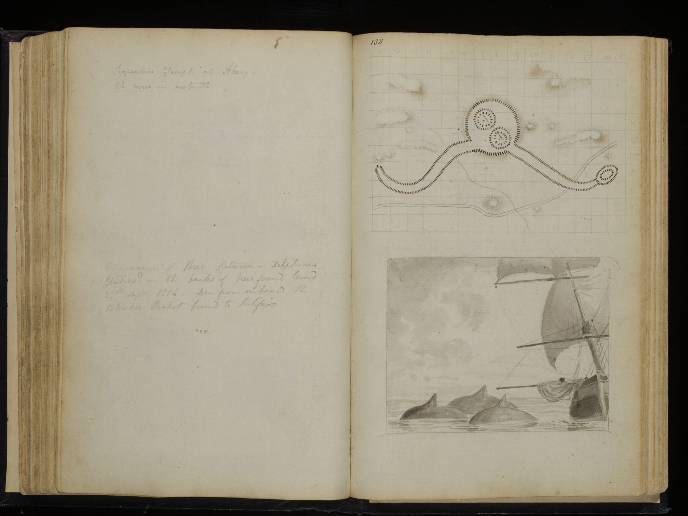 Sketches collected during leisure hours passed in Jamaica, containing specimens copied from the best authors and from nature, Charles Hamilton Smith, 1797-1807