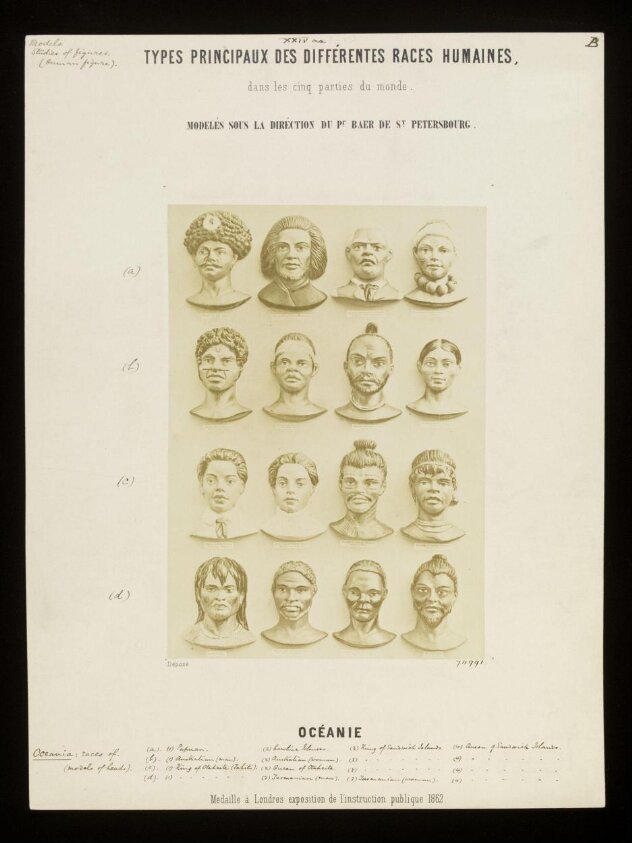 Principal Types of Different Human Races: Oceania (1862) by Delboy & Baer